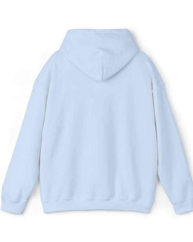 Large Raccoon Embroidered Unisex Hoodie