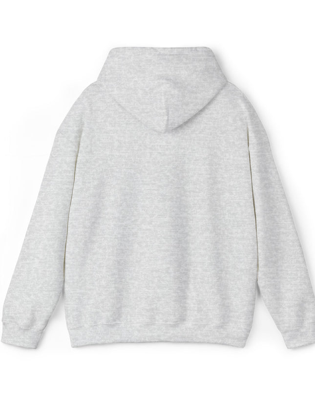 Large Raccoon Embroidered Unisex Hoodie