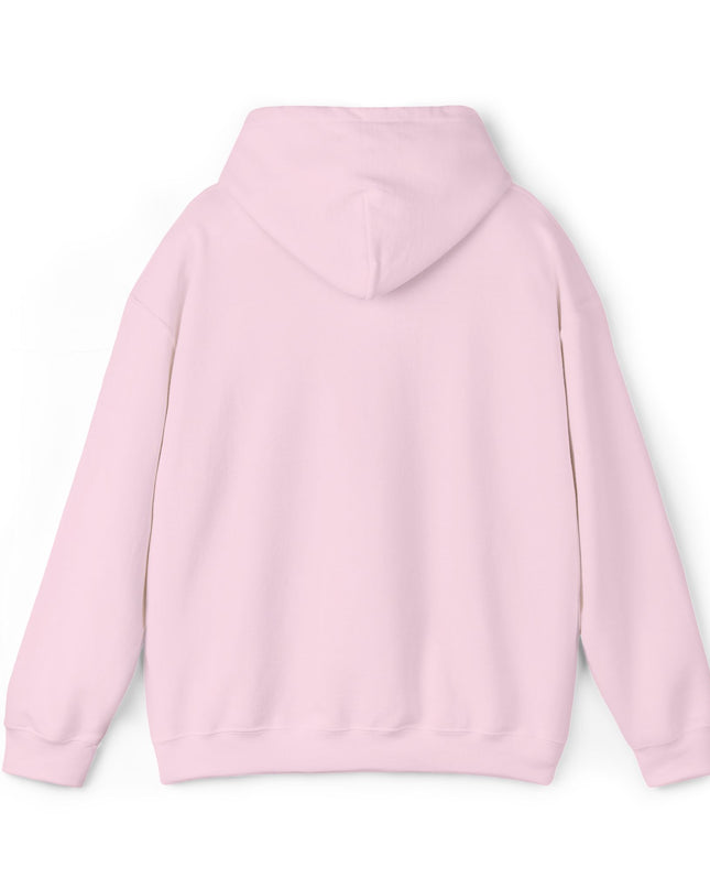 Large Raccoon Embroidered Unisex Hoodie